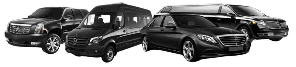 luxury limo fleet